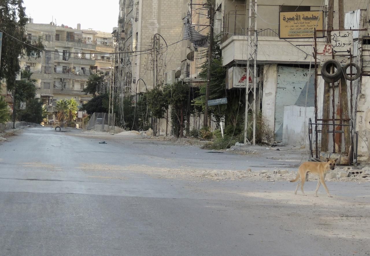 Sýrie - Damašek - pes - chemický útok