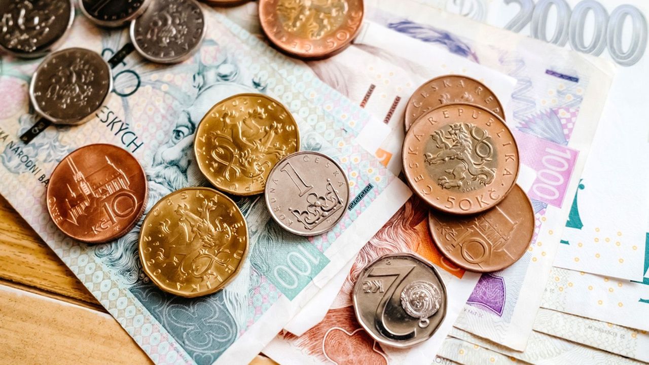 Někteří Češi budou pobírat nízký důchod. A to i přesto, že měli vysoký příjem
