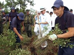 Zatímco Kolumbie nařídila likvidaci rostlin koky v národních parcích, Bolívie bude nejspíš pěstovat koku dál bez omezení. Kolumbijský prezident Alvaro Uribe (na snímku v bílém klobouku) pomáhá dělníkům vytrhávat rostliny koky v národním parku La Macarena