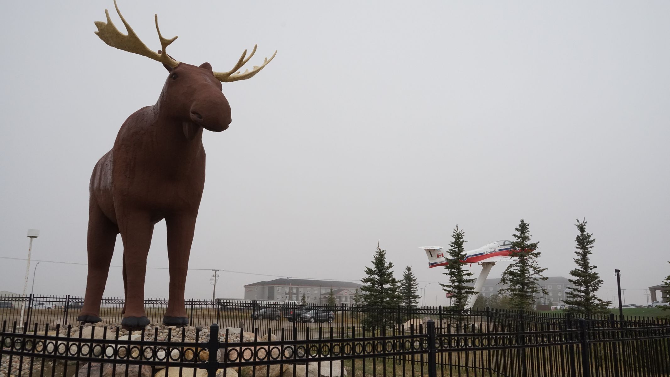 Mac v kanadském městě Moose Jaw byl až do roku 2015 největší socha losa na světě.