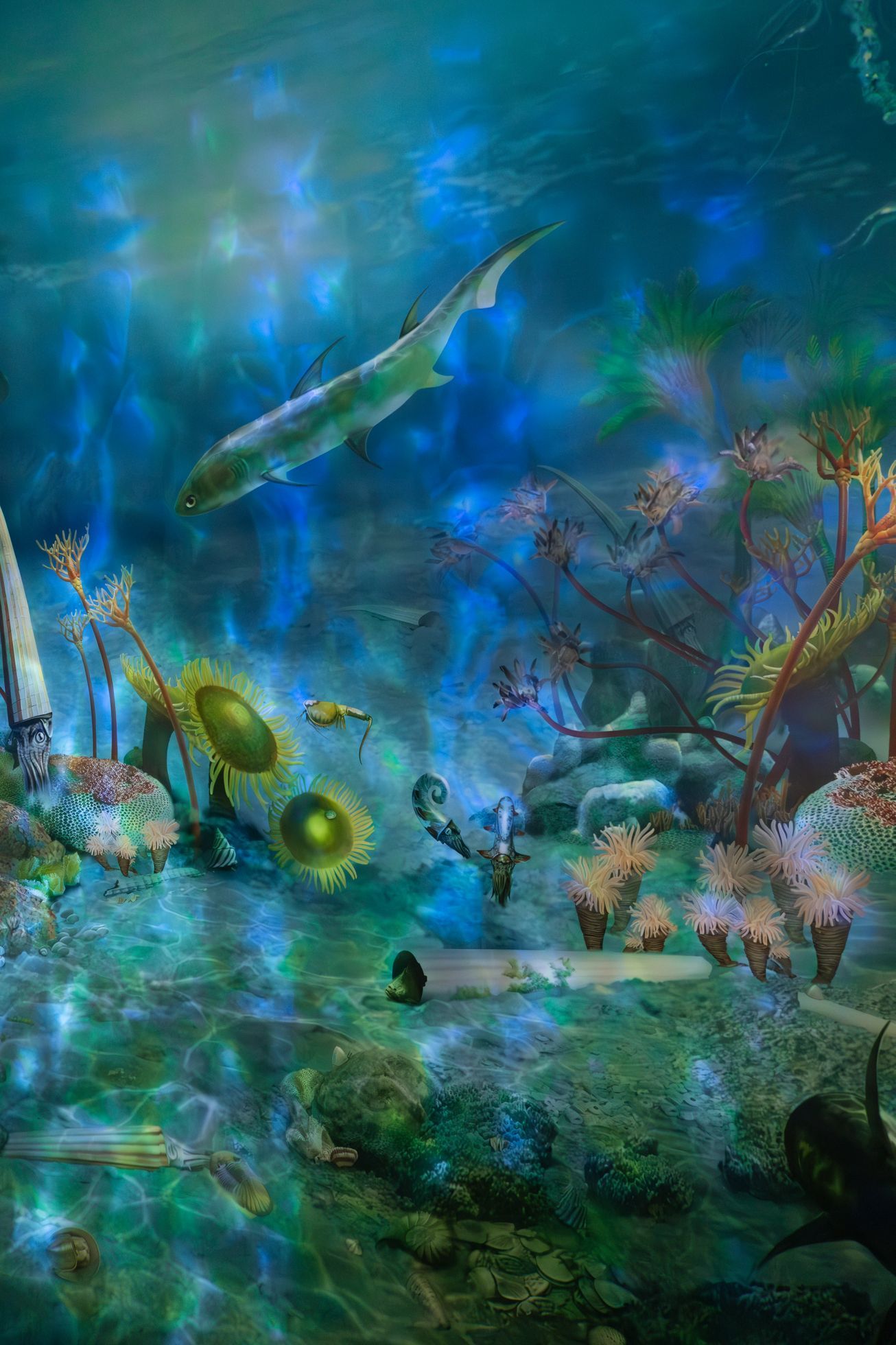 Koněprusy - Přírodní centrum