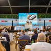 Bonhams aukce Zoute Sale 2023