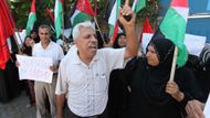 Palestinci tak nezískají samostatnost, nýbrž možnost žalovat Izrael u mezinárodního soudu. Kromě toho budou mít přístup do mnoha organizací Spojených národů.