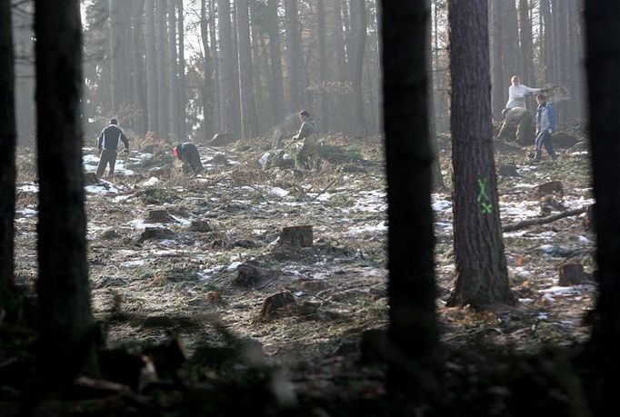 Na pasece nad vesnicí Místo u Chomutova tak v úterý pracovalo dvanáct lidí. Všichni dlouhodobě nezaměstnaní, registrovaní na úřadech práce. Další dvě party byly na jiných místech Krušných hor.