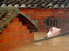 Záplavami byla postižená také sousední Čína.