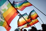 Samotný pochod homosexuálů, kterého se v Bělehradu zúčastnilo asi 1000 až 1500 lidí, se přitom obešel bez násilností.