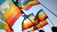 Samotný pochod homosexuálů, kterého se v Bělehradu zúčastnilo asi 1000 až 1500 lidí, se přitom obešel bez násilností.