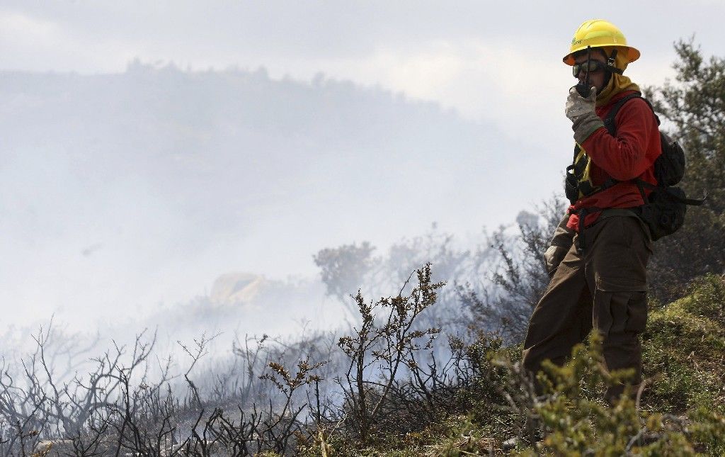 Chilští hasiči se potýkají s řadou lesních požárů