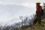 V neděli bojovali hasiči téměř s pěti desítkami požárů v celé zemi, která zažívá plnou letní sezonu. Většina z nich byla uhašena, stále však zbývá patnáct aktivních.