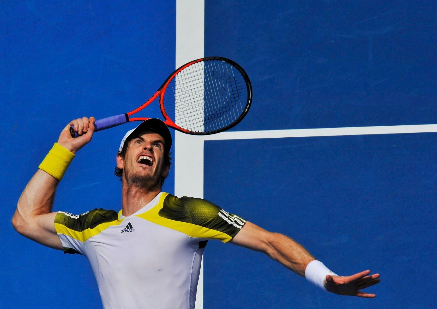 Australian Open: Andy Murray