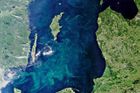 V Baltském moři se prostírá obří koberec ze sinic