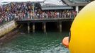 housands of people crowd the waterfront on the last day to see a giant duck (R), conceived by Dutch artist Florentijn Hofman, in Hong Kong on June 9, 2013. Thousands said farewell to the giant inflatable yellow rubber duck which has captivated Hong Kong for the past month, before it heads to the United States.