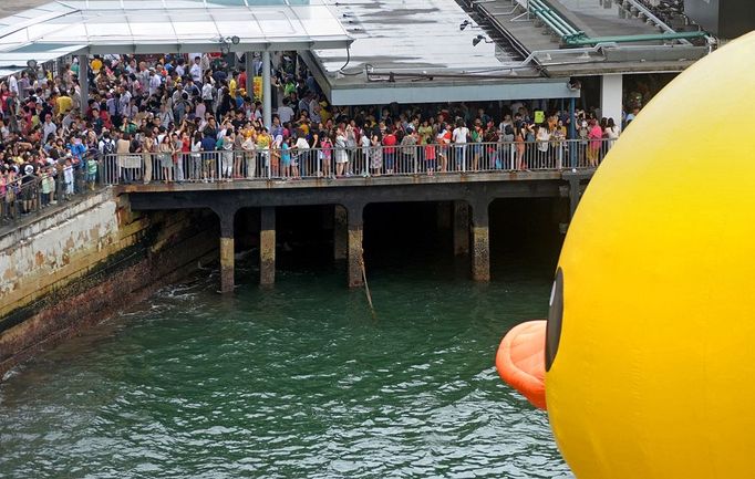 housands of people crowd the waterfront on the last day to see a giant duck (R), conceived by Dutch artist Florentijn Hofman, in Hong Kong on June 9, 2013. Thousands said farewell to the giant inflatable yellow rubber duck which has captivated Hong Kong for the past month, before it heads to the United States.