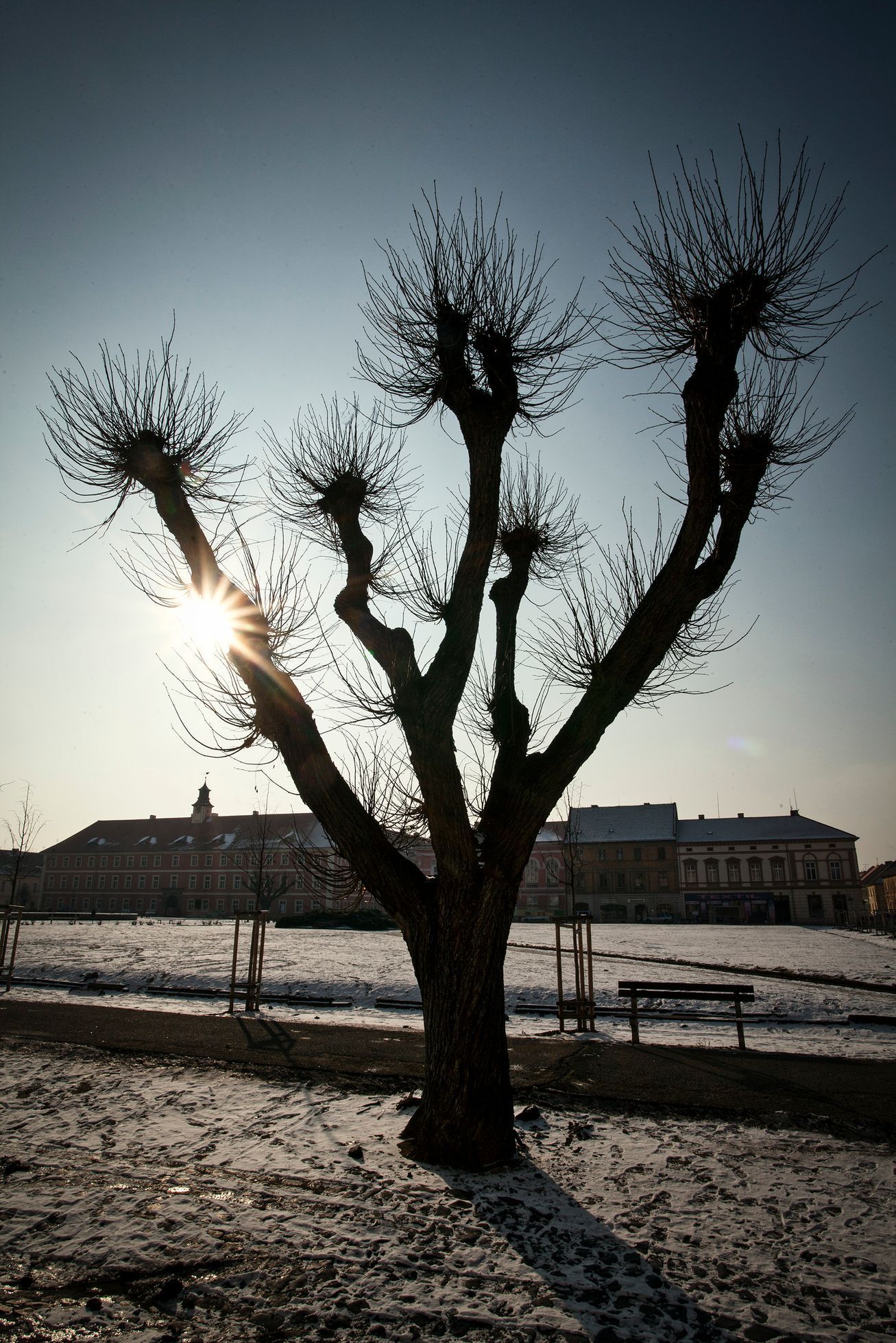 Fotogalerie / Felix Kolmer / Libor Fojtík / Kniha / Objektivem Libora Fojtíka: Osobnost a životní peripetie skauta Felixe Kolmera