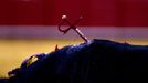 A sword is stabbed into a bull during a bullfight in The Maestranza bullring in Seville