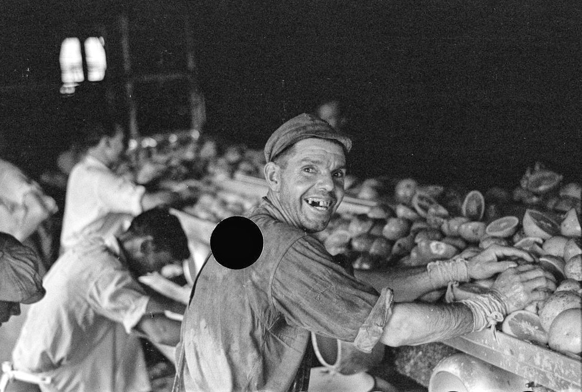 Fotogalerie / Velká hospodářská krize v 30. letech 20. století / Farm Security Administration / FSA / OWI / Library of Congress