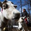 FOTOGALERIE / Život kočovných pastýřů v Mongolsku / Reuters / rok 2018 / 20