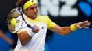 Australian Open: David Ferrer