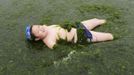 A boy plays on an algae-covered seaside in Qingdao, Shandong province, June 22, 2013. Picture taken June 22, 2013. REUTERS/China Daily (CHINA - Tags: ENVIRONMENT SOCIETY) CHINA OUT. NO COMMERCIAL OR EDITORIAL SALES IN CHINA Published: Čer. 26, 2013, 6 dop.