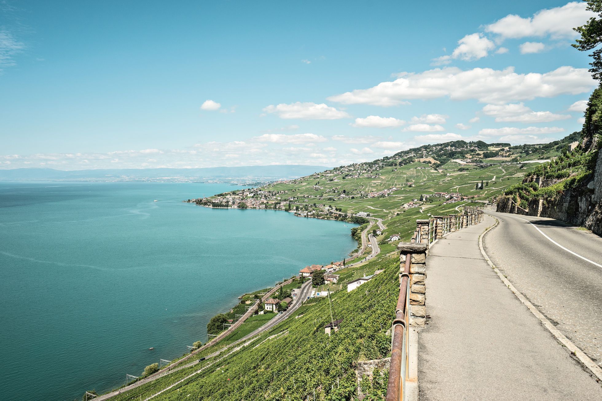 Strmé terasy vinic v regionu Lavaux na břehu Ženevského jezera