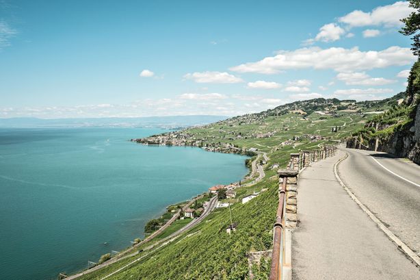 Strmé terasy vinic v regionu Lavaux na břehu Ženevského jezera.