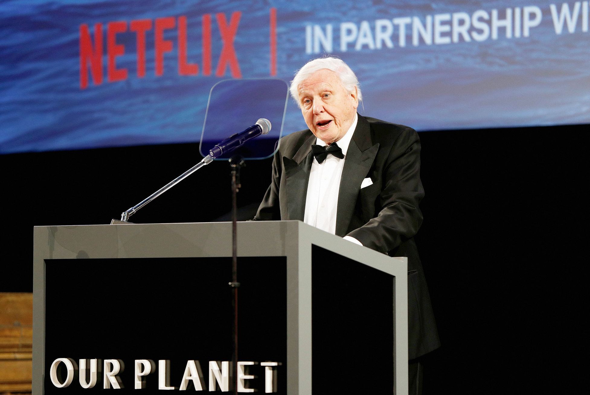 Jednorázové užití / Fotogalerie / Legendární britský přírodovědec David Attenborough slaví 95. narozeniny