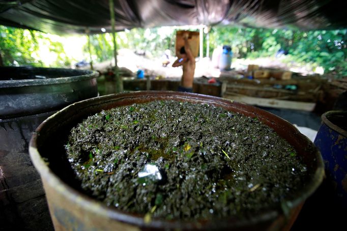 Obchod s drogami v jihoamerické Kolumbii kvete. Na více než 460 000 akrech kolumbijské půdy stále roste koka. Žádná jiná plodina zemědělcům nevydělá tolik peněz.