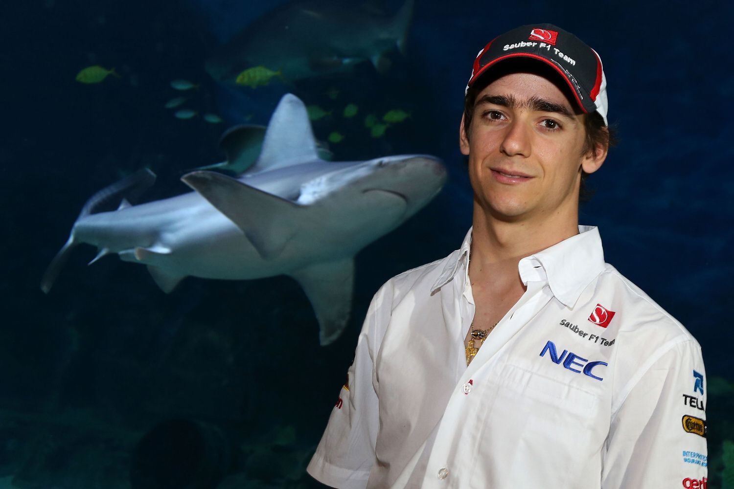 Formule 1: Esteban Gutiérrez