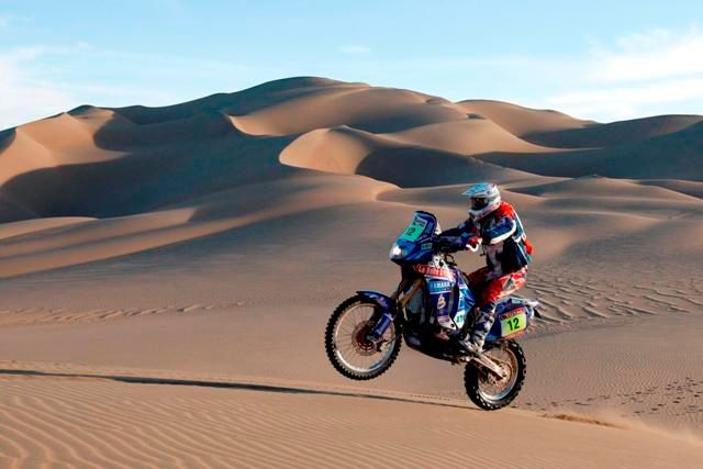 Rallye Dakar 2010 - David Fretigne