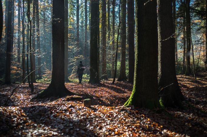 Ilustrační foto.