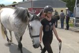 V maturitní třídě se specializací na chov koní a jezdectví studuje na České zemědělské akademii v Humpolci 25 žáků, především dívek.