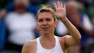 Na olympiádě si nezahraje ani pětka žebříčku WTA Simona Halepová z Rumunska. "Rizika pro mou kariéru a pro moje zdraví, zvlášť jako ženu, jsou příliš veliká. Rodina je pro mne moc důležitá a nemohu riskovat, že nebudu moci mít vlastní, až jednou skončím s tenisovou kariérou," uvedla bývalá světová dvojka.