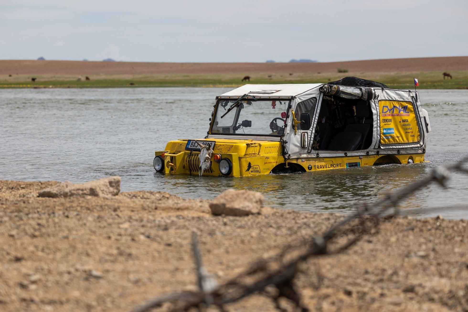 Žlutá žába pluje!