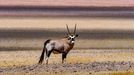 Jaroslav Hora, vítěz soutěže Travel Photographer of the Year: Namibie