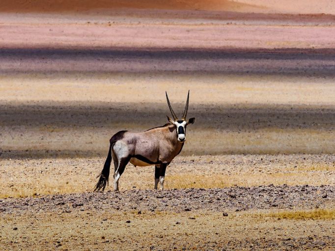 Jaroslav Hora, vítěz soutěže Travel Photographer of the Year: Namibie