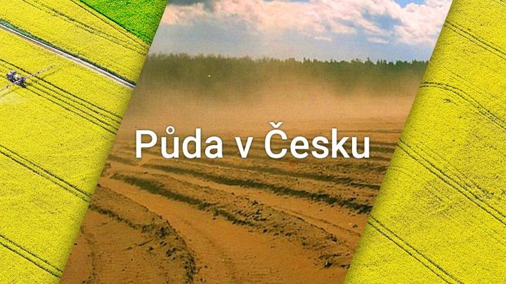 Kdo čerpá nejvíc zemědělských dotací, co vše pohlcuje řepka a kolik jíme pesticidů