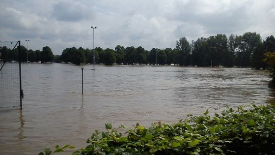 Podívejte se, jak hokejový šampionát inlinistů v Drážďanech ohrozilo rozvodněné Labe.