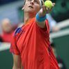 Davis Cup: Česko - Nizozemsko, Tomáš Berdych, Thiemo de Bakker