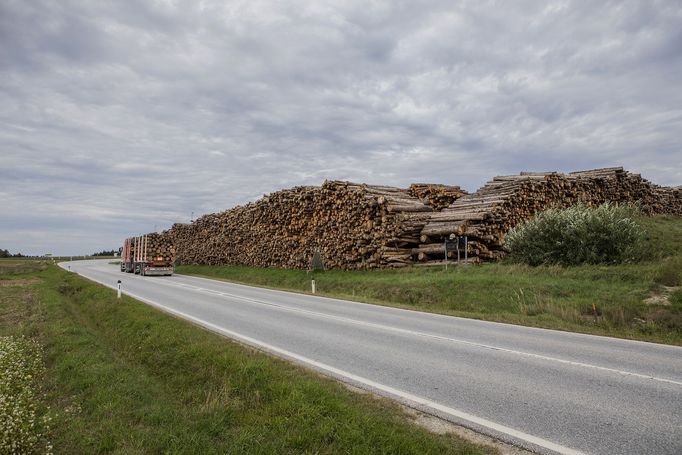 Volby v Dolním Rakousku. Září, 2019.