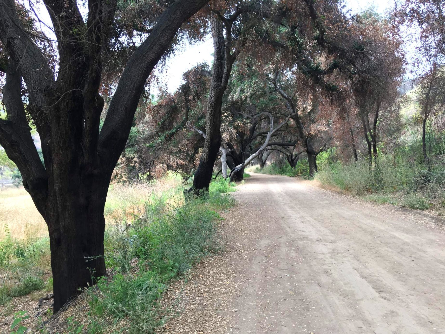 Galerie natáčecí místo MASH