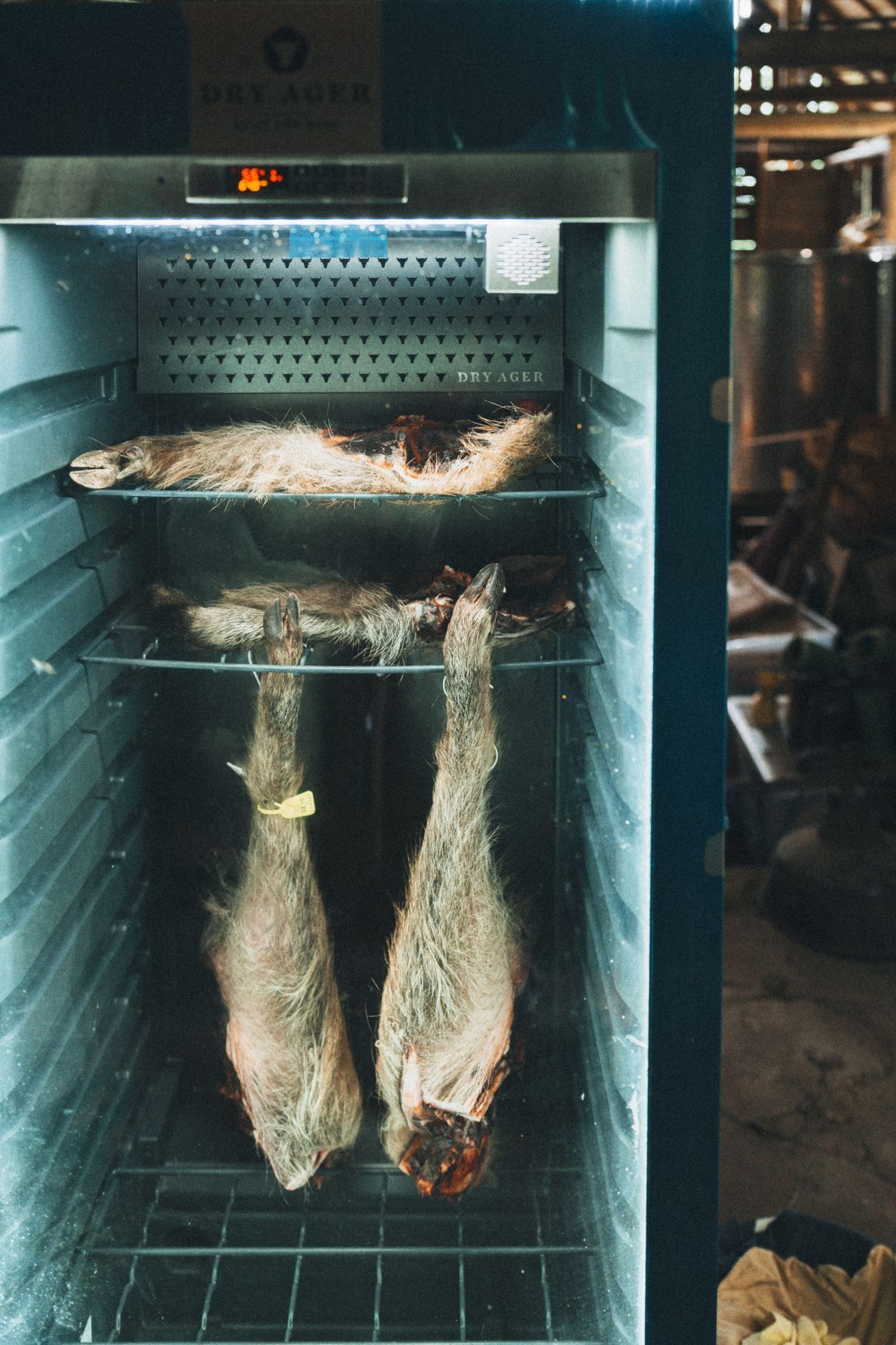 na okraji domov můj, kniha, rodina, bydlení, dům, podnikatel