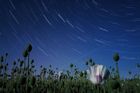 Noční fotografii mobilním telefonem ovládá Michal Zigo opravdu dobře. Zde jsou zachyceny takzvané „star trails“, tedy stopy hvězd na obloze (způsobené rotací Země).
