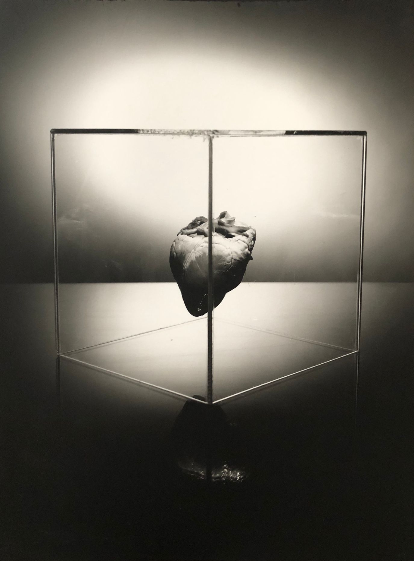 puls byti, jana kolarova