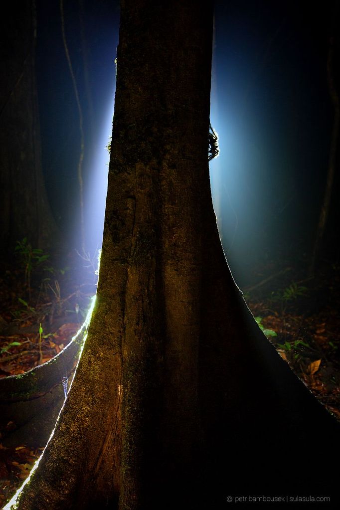 Peter Bambousek - fotografie