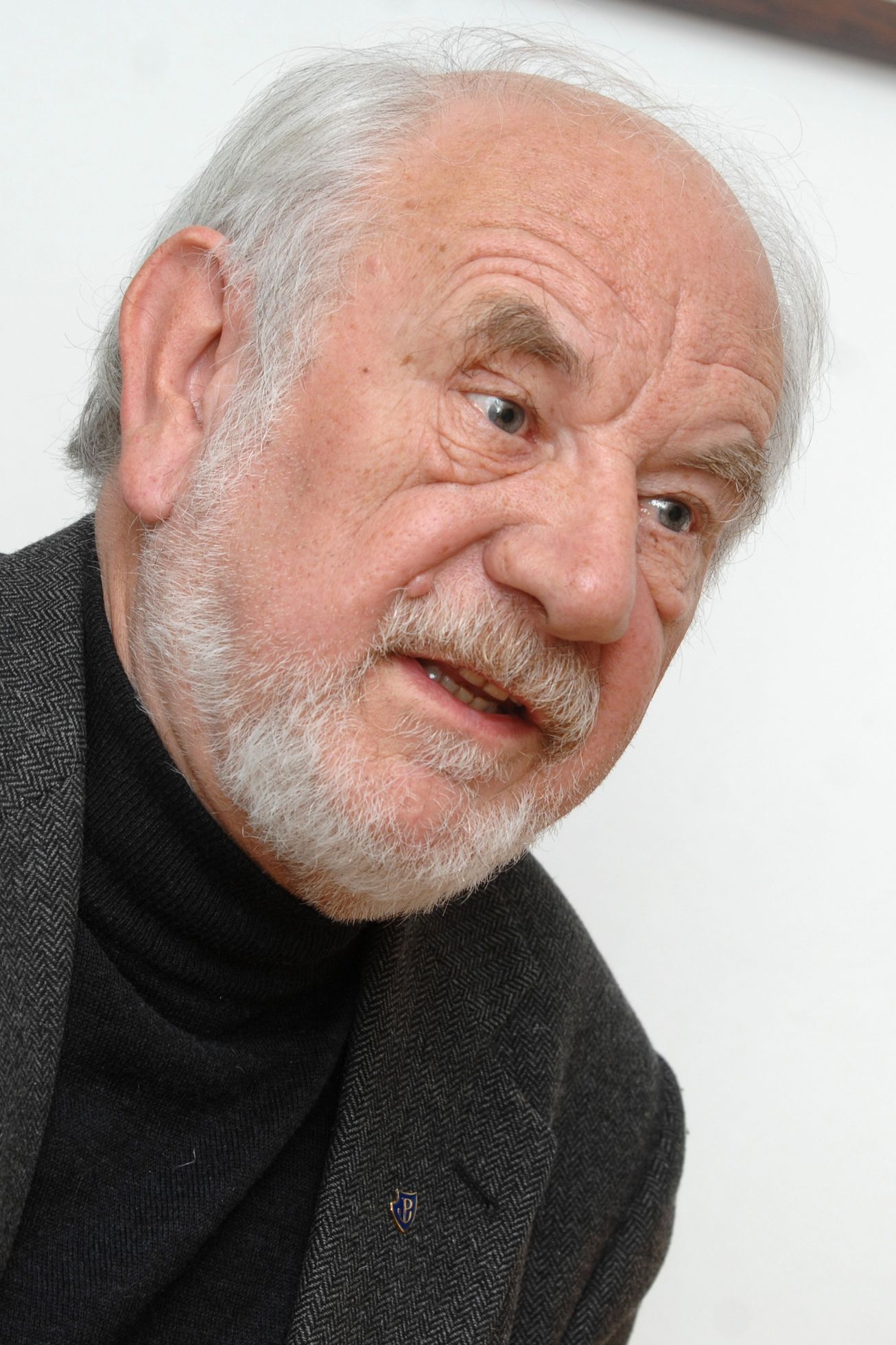 Josef Jařab, 2008