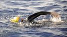 Endurance swimmer Diana Nyad swims in the Florida Straits between Cuba and the Florida Keys August 19, 2012. Nyad is trying to become the first swimmer to transit the Florida Straits from Cuba to the Keys without a shark cage. REUTERS/Christi Barli/Diana Nyad/Florida Keys News Bureau/Handout (UNITED STATES - Tags: SOCIETY) NO SALES. NO ARCHIVES. FOR EDITORIAL USE ONLY. NOT FOR SALE FOR MARKETING OR ADVERTISING CAMPAIGNS. THIS IMAGE HAS BEEN SUPPLIED BY A THIRD PARTY. IT IS DISTRIBUTED, EXACTLY AS RECEIVED BY REUTERS, AS A SERVICE TO CLIENTS Published: Srp. 19, 2012, 11:32 odp.