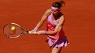 French Open 2015: Lucie Šafářová ve finále