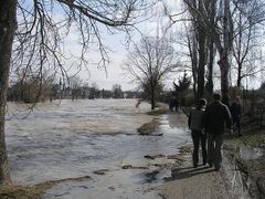 Řeka Morava v Litovli