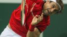 Finále Davis Cupu, zápas Radek Štěpánek - David Ferrer