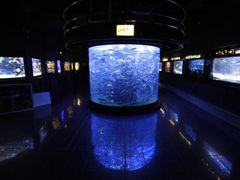 Oceánografické muzeum
